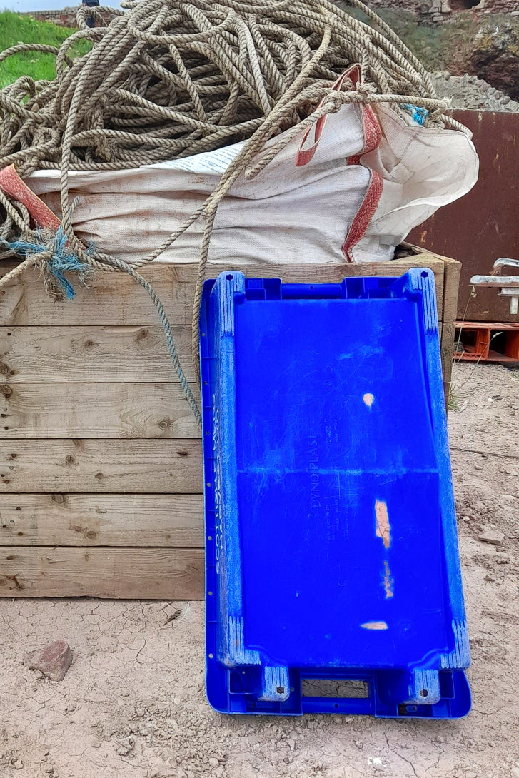 Chef & Paring - Blue