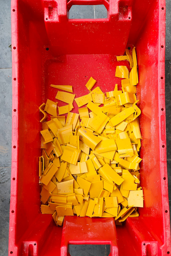 Paring - Yellow