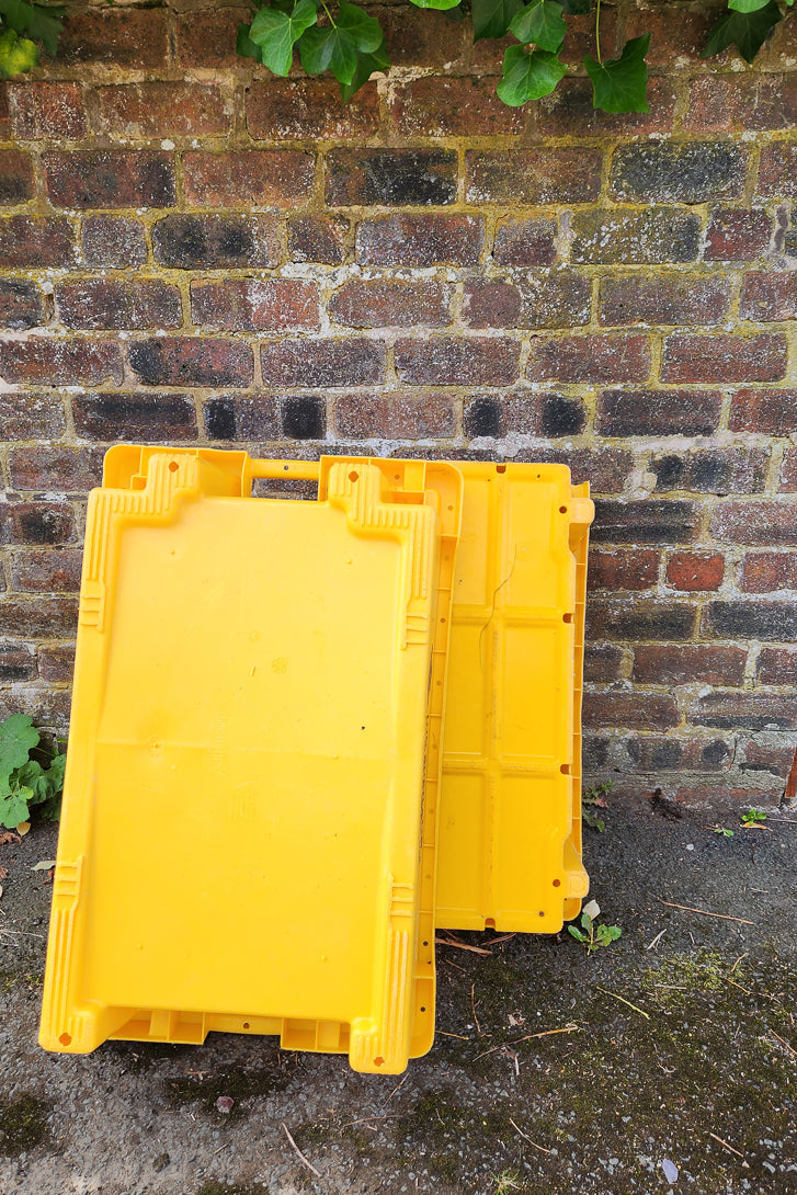 Full Set - Yellow