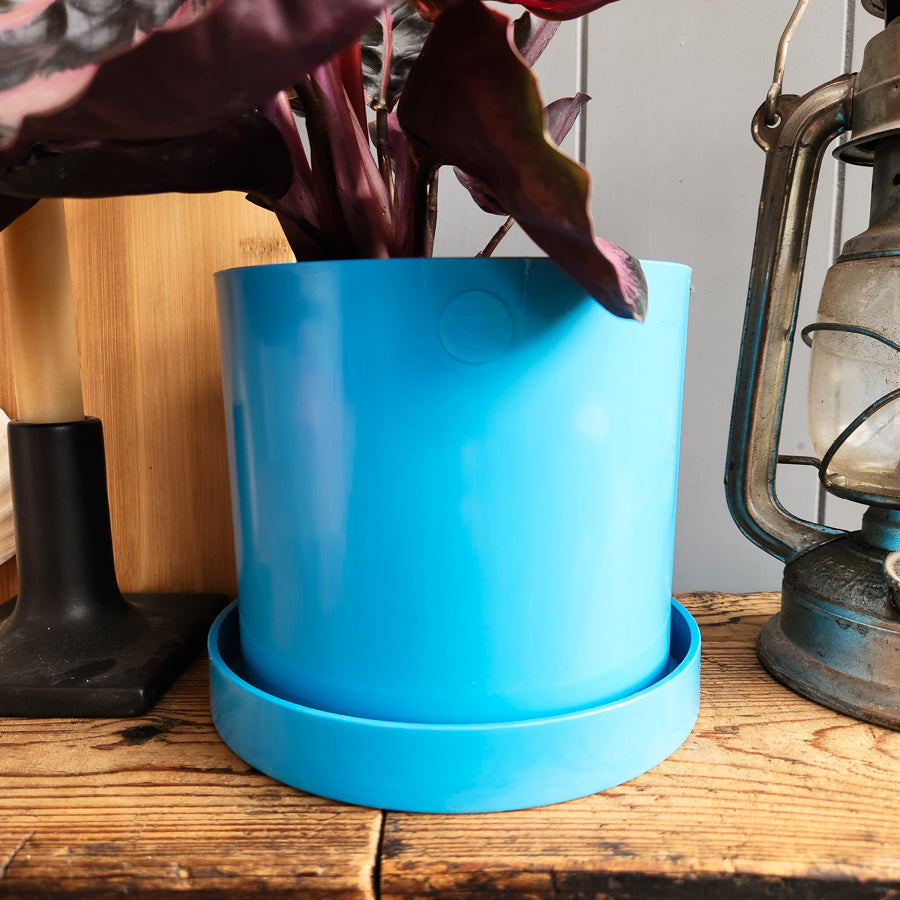 2 x Bloom Ocean Plastic Pot Bundle (save £5)