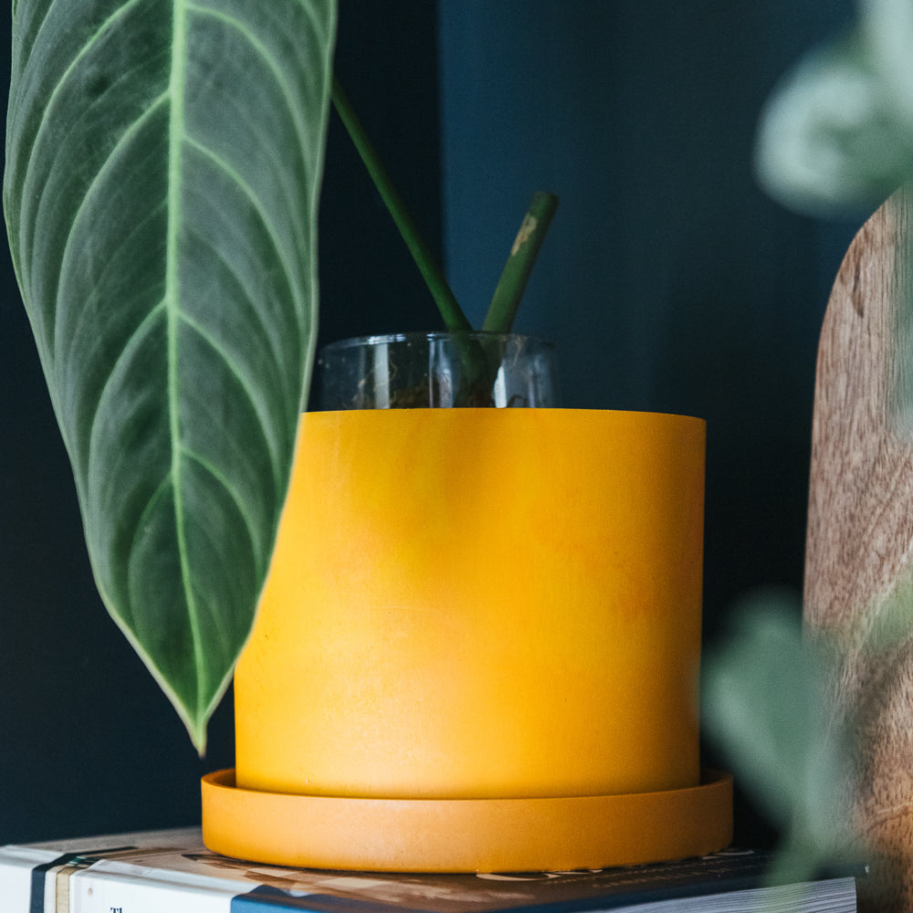 Orange Bloom Pot Set - 12cm