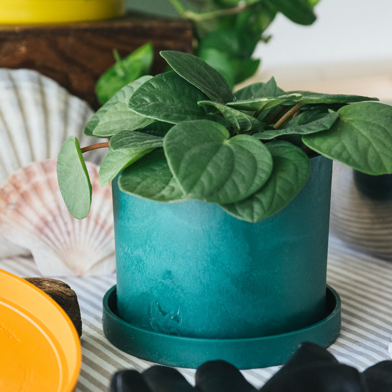 3 x Bloom Ocean Plastic Pot Bundle (save £10) - Free Light Blue Pot