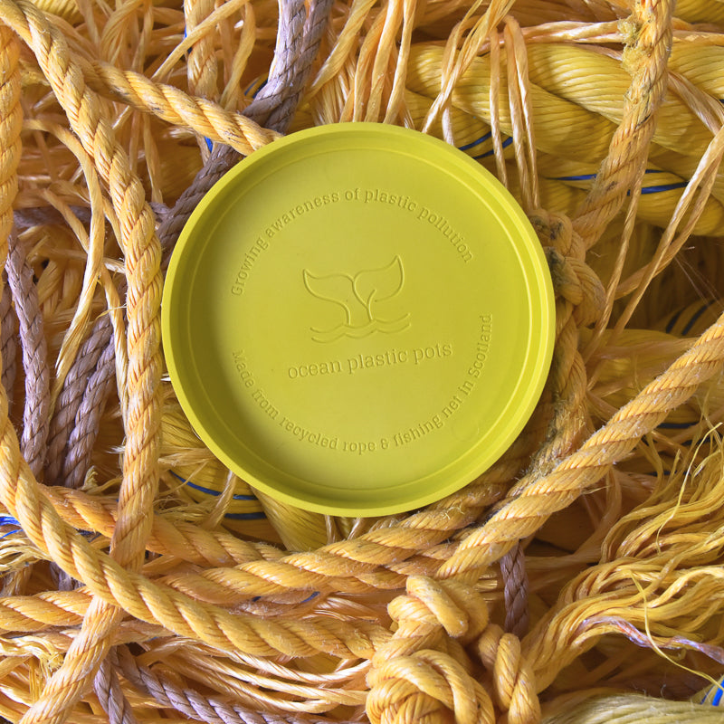 Matt Yellow Ocre &