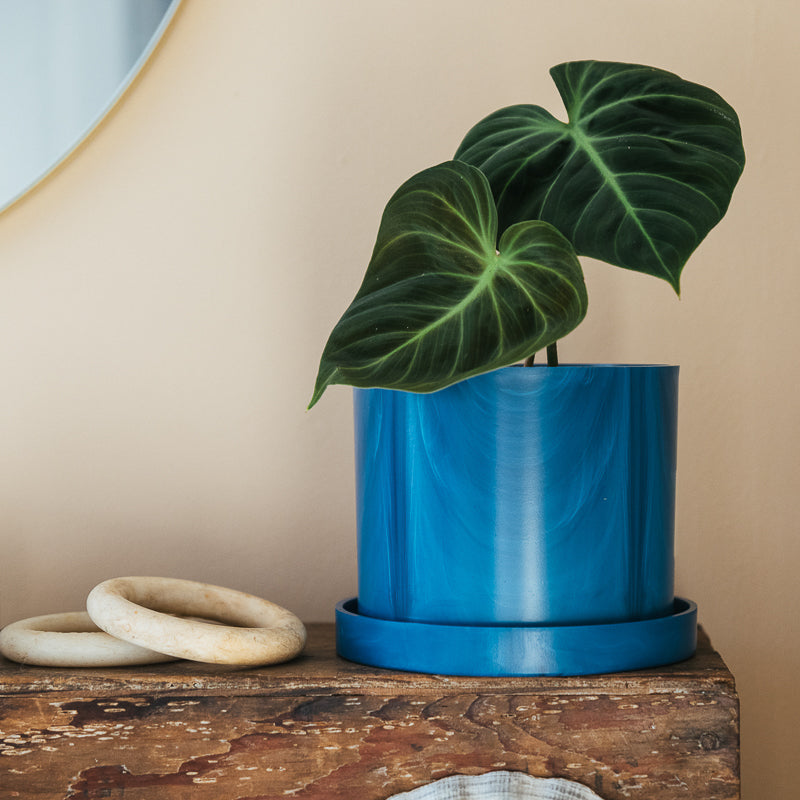 Navy Marble &