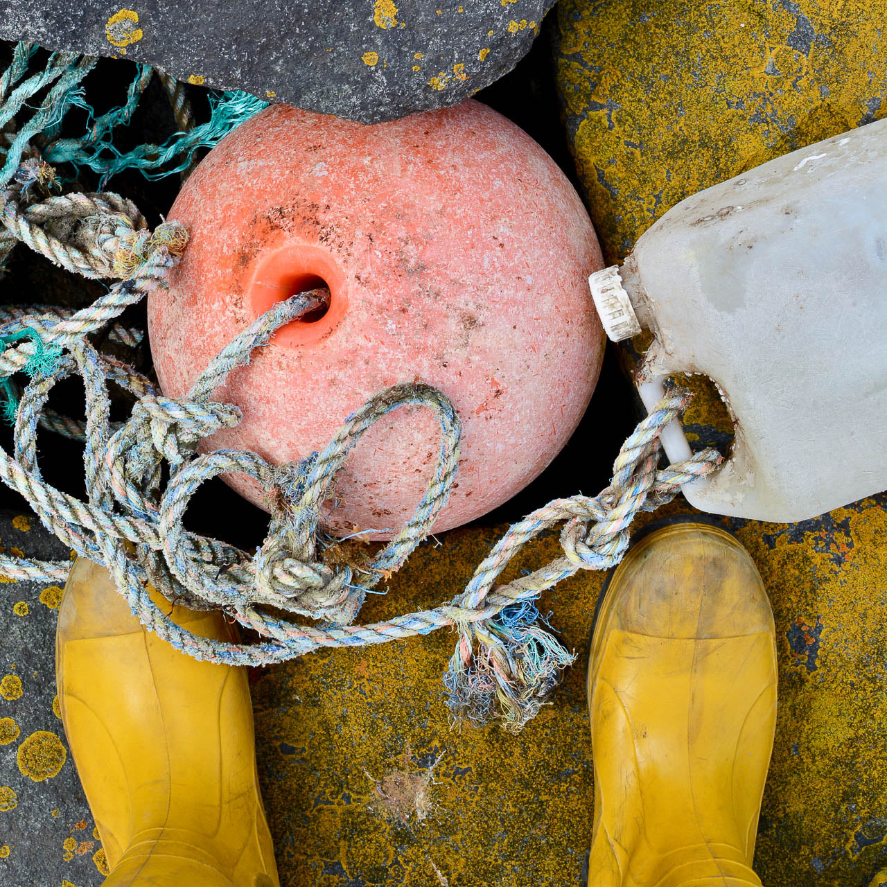 World Ocean Clean Up day 2021