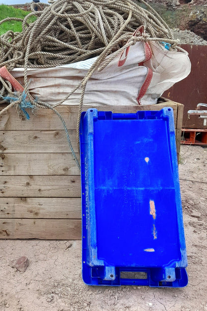 Paring -  Blue