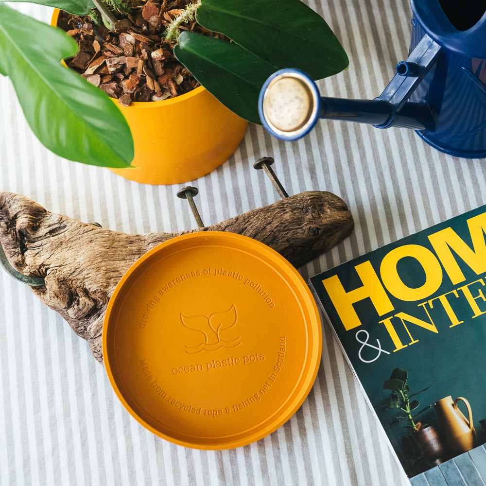 Orange  Bloom Pot Set - 12cm