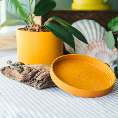 Orange  Bloom Pot Set - 12cm