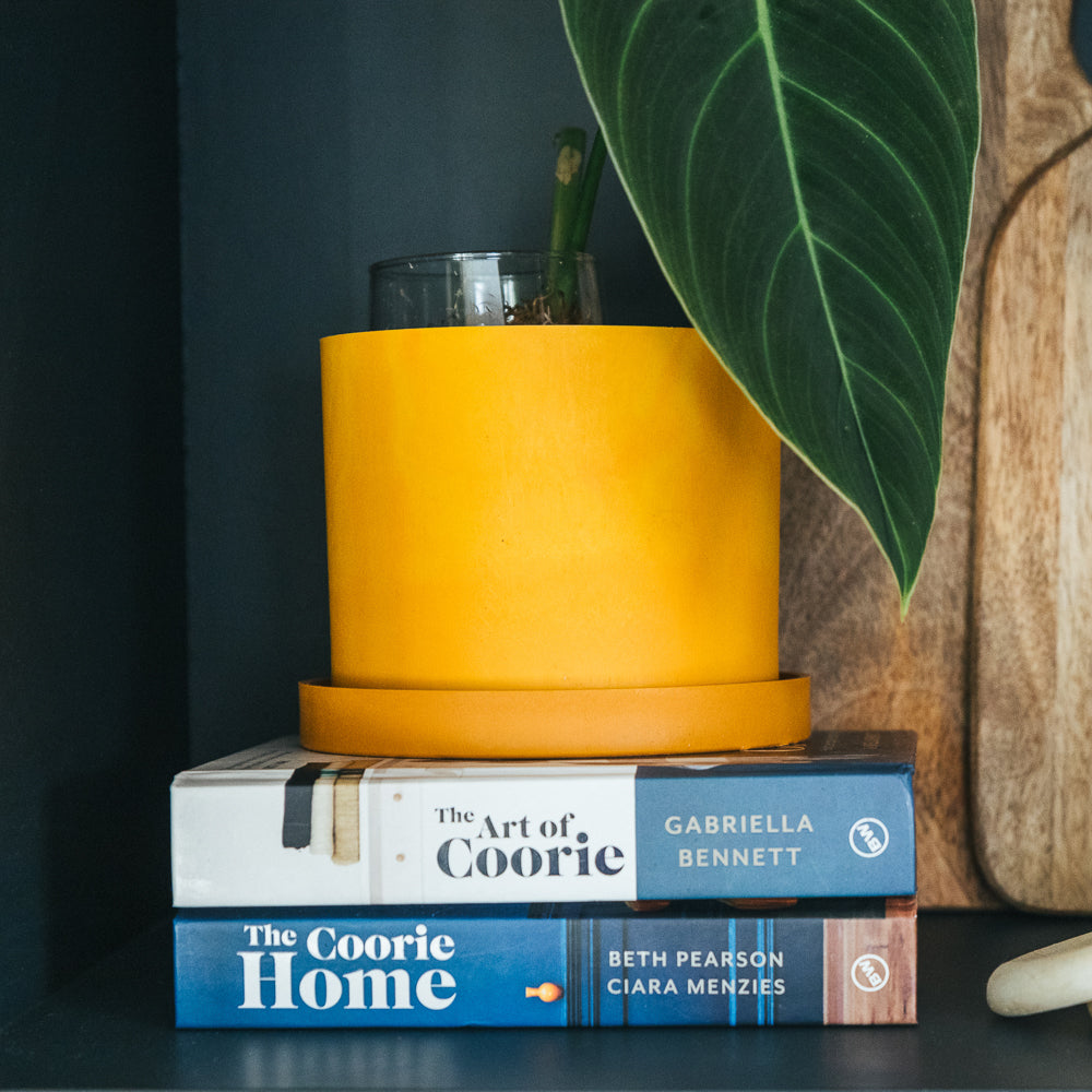 Orange  Bloom Pot Set - 12cm