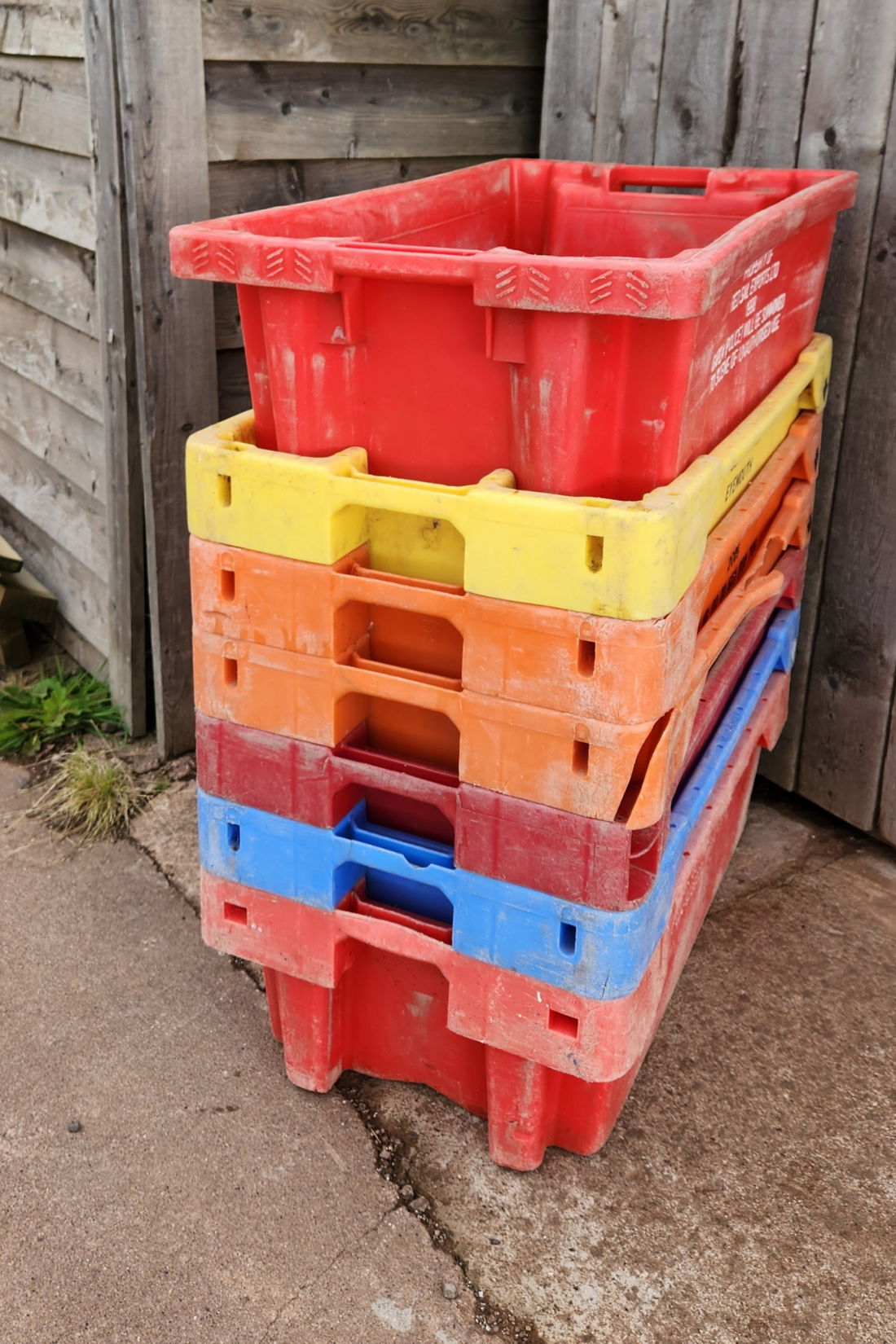 Chef & Paring - Orange